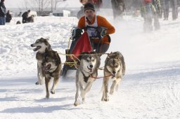 Lenk 2012 SM